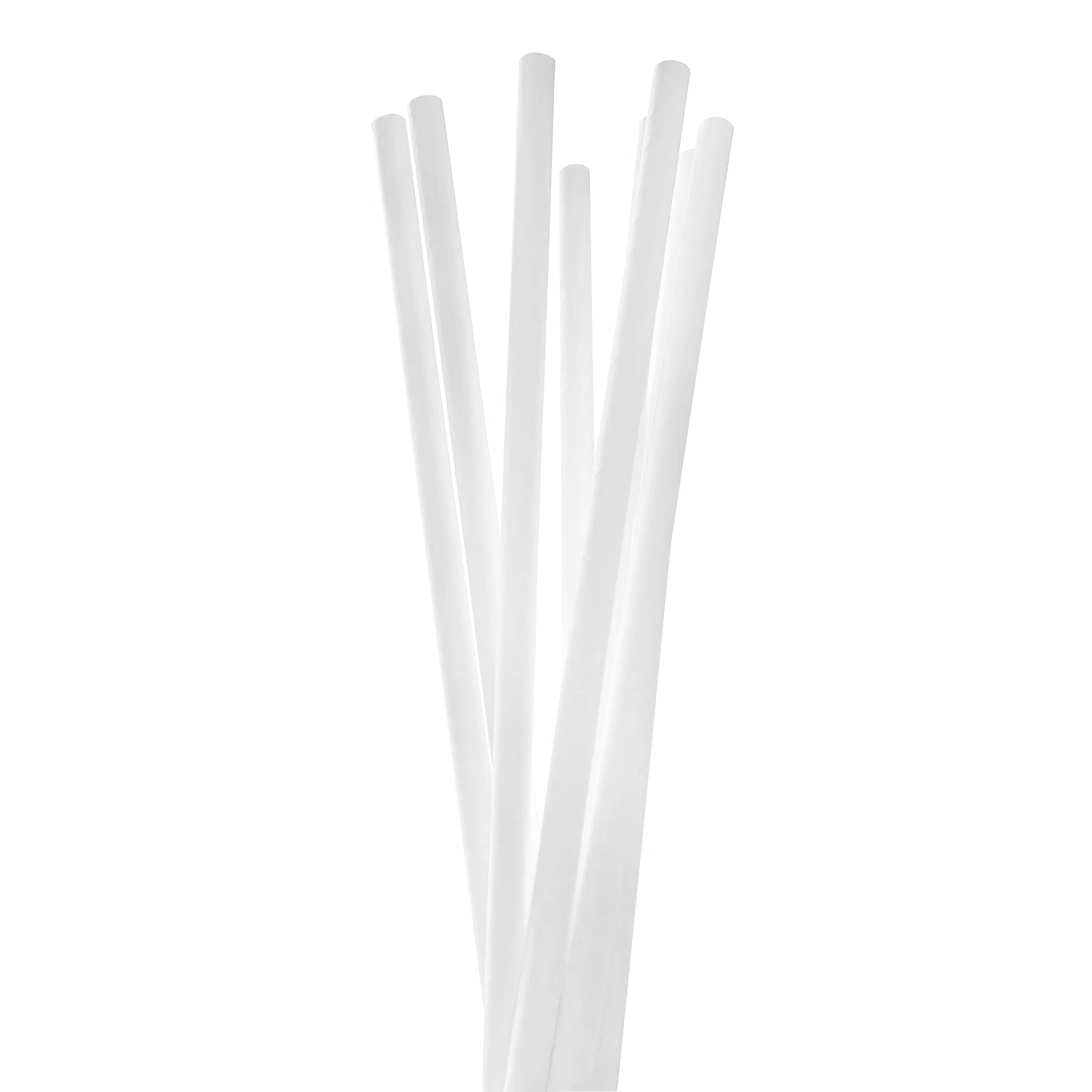 Compostable Wrapped Paper Straws (2,000 Count)